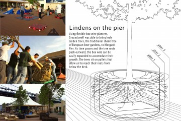 Linden Tree Planter Design